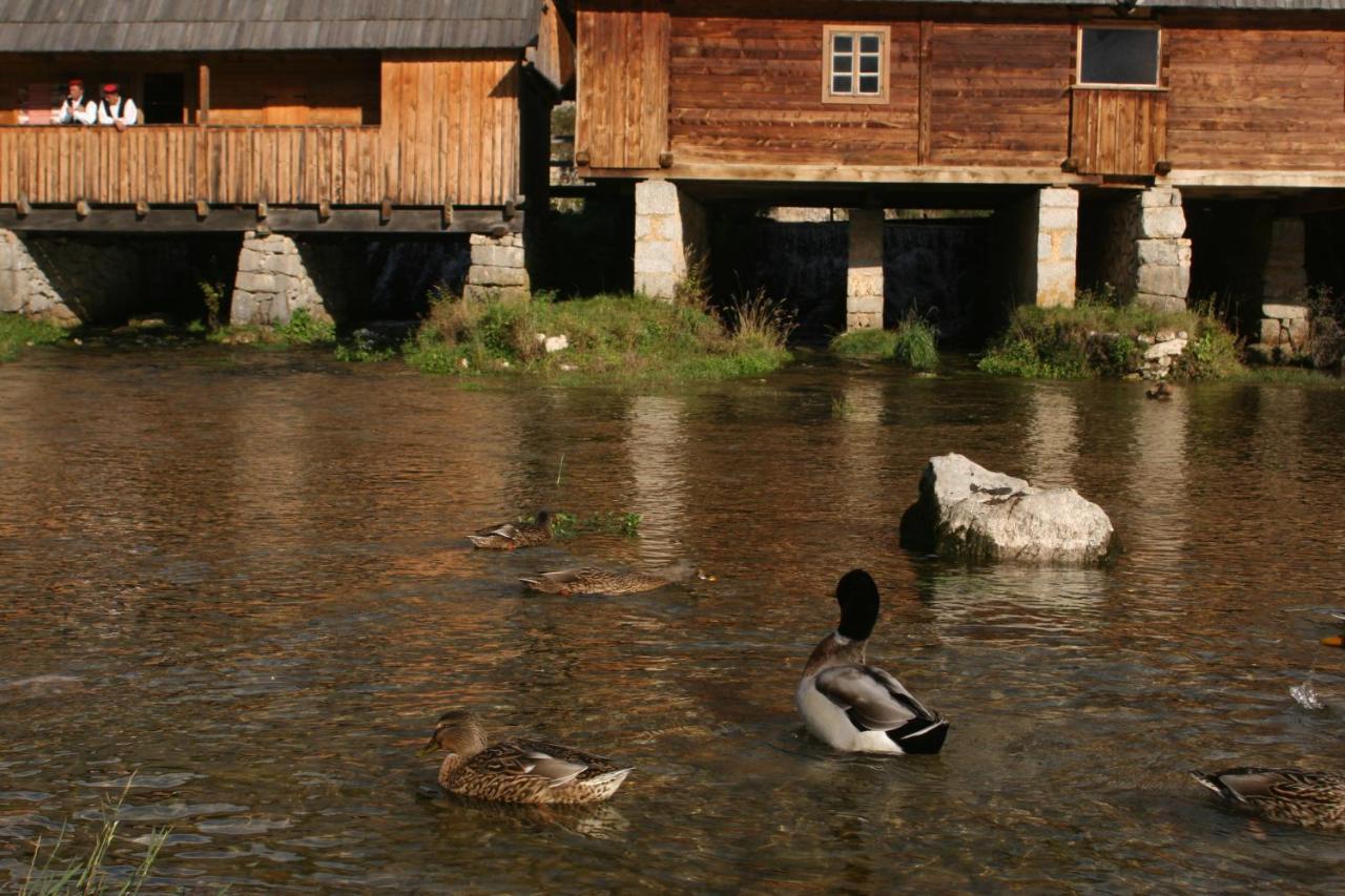 Guesthouse Samolov Vrhovine Exterior foto